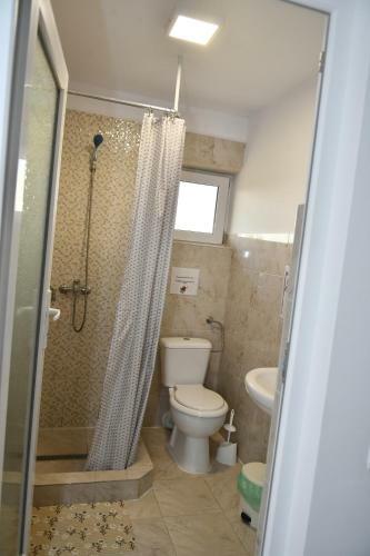 Hostal Pensiunea Codalb