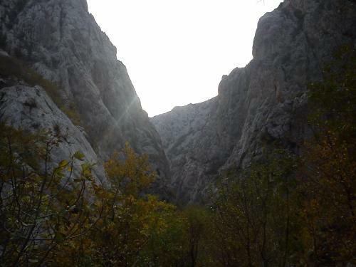 Apartmani Korina