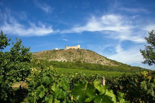 Apartm�n U Pl�?e S Terasou