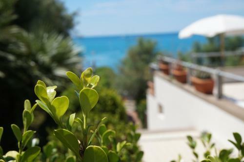 Apartamento La Casa A Due Passi Dal Mare