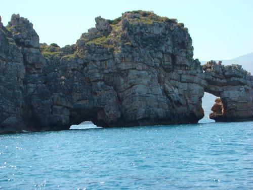Lodge Casetta Sull'albero, Girasole