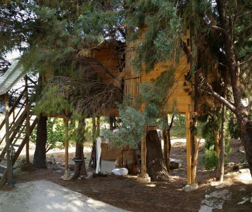 Lodge Casetta Sull'albero, Girasole