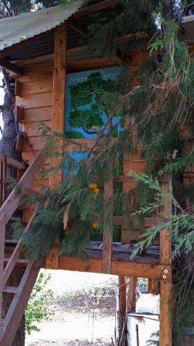 Lodge Casetta Sull'albero, Girasole