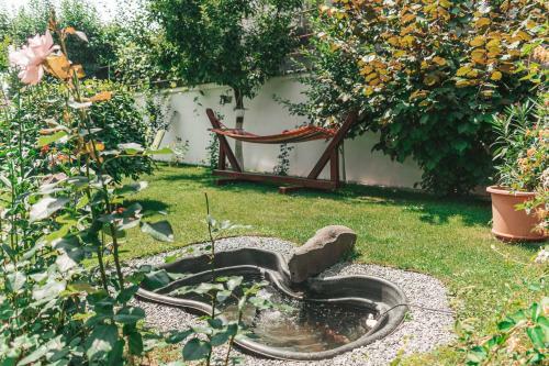 Hostal Casa Narciselor