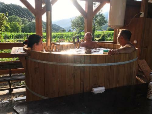 Hostal Pensiunea Grapini