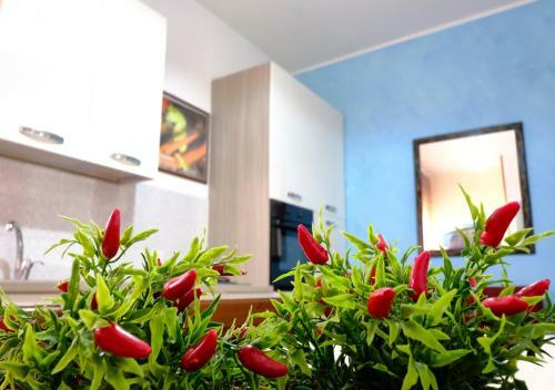 Apartamento Appartamento Lavinia