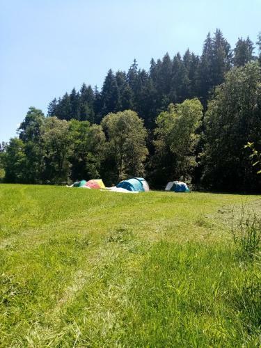 Agroturismo Casa Ursului