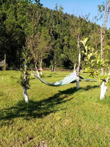 Agroturismo Casa Ursului