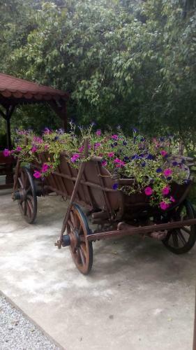 Agroturismo Casa Ursului