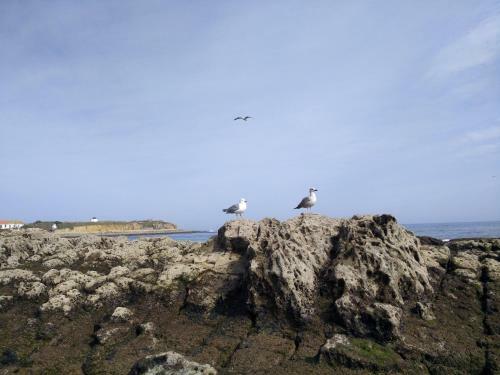 Apartamento Baleal Sea House