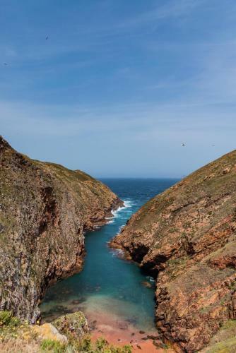 Apartamento Baleal Sea House