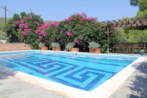 Villaconte Luxury Apartments