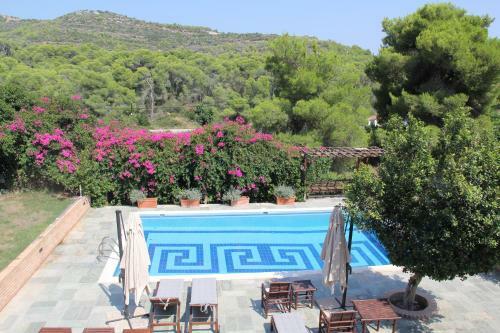 Villaconte Luxury Apartments