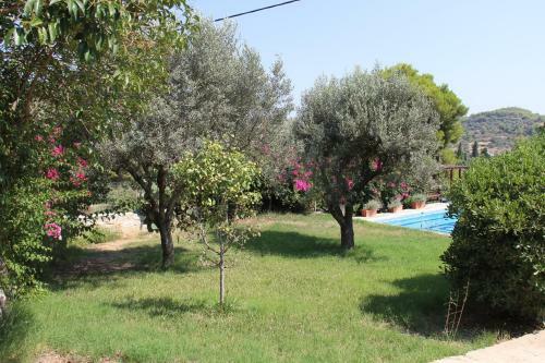 Villaconte Luxury Apartments