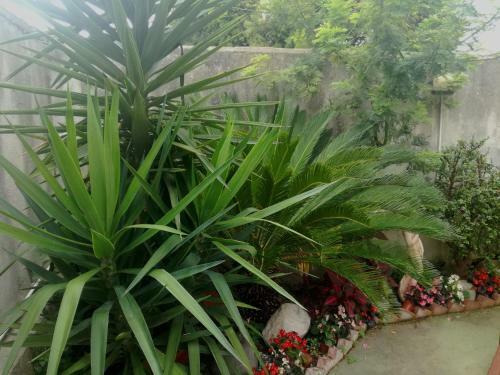 Bed & Breakfast Villa Cozzolino