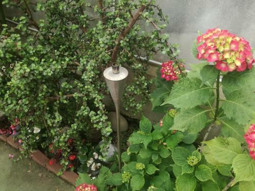 Bed & Breakfast Villa Cozzolino