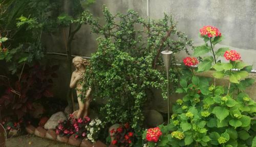 Bed & Breakfast Villa Cozzolino