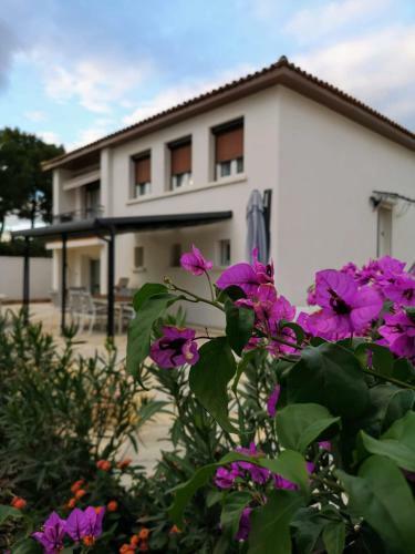 Maison De Charme