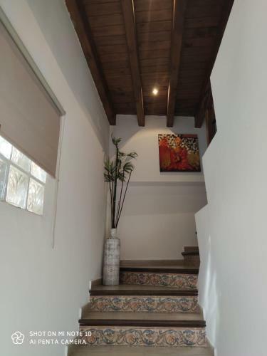 Apartamento �tico Sof�a
