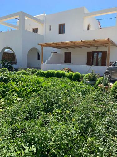 Apartamento Blossom House Naxos