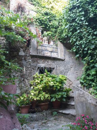Hostal Palazzo Caracciolo