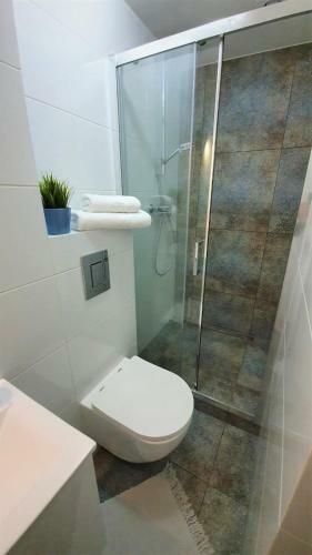 Apartamento Willa Pla?owa