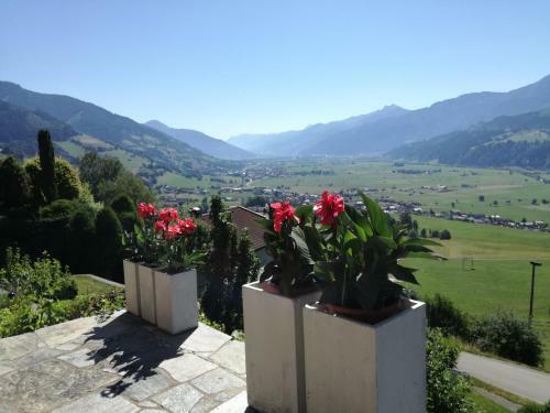Apartamento Haus Salzachblick