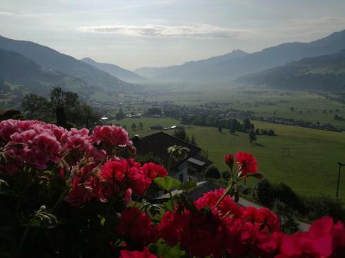 Apartamento Haus Salzachblick