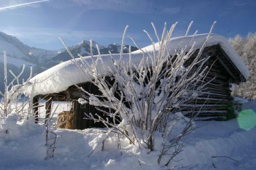 Apartamentos Haus Wegscheider