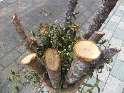 Apartamento Ferienwohnung Eberharter