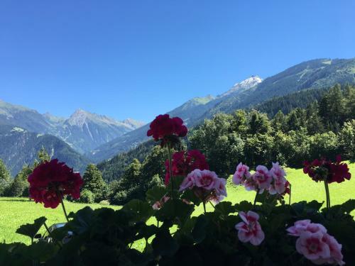 Olympia-relax-hotel Leonhard Stock