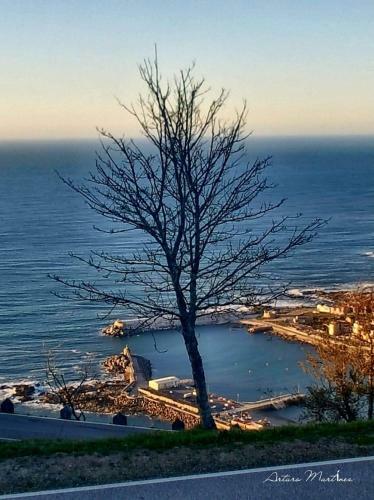 Apartamento Rincon Do Mar Atc Iz