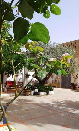 Bed & Breakfast L'antica Torre