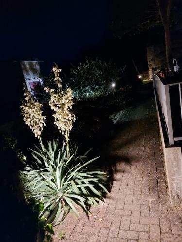 Apartamento Bella Vista
