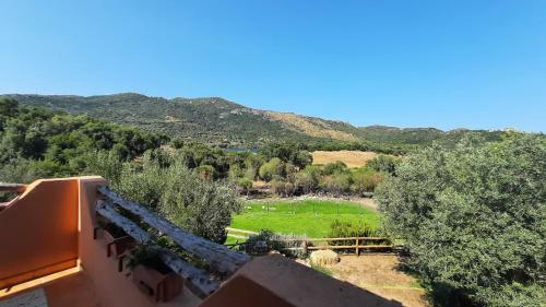 Agroturismo Fattoria Nuraghe Murtarba