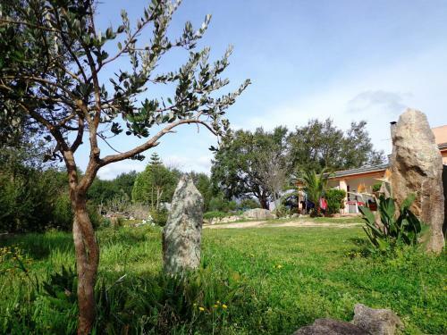 Agroturismo Fattoria Nuraghe Murtarba