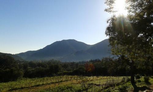 Agroturismo Fattoria Nuraghe Murtarba