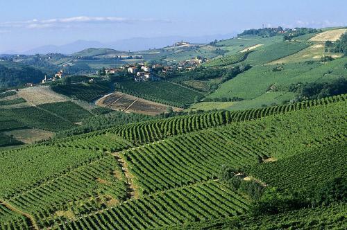 Hotel Barolo Classico
