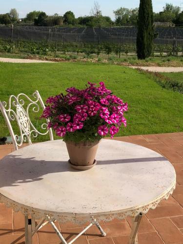 Hostal Maso Maroni Luxury Rooms