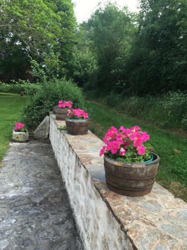 Hostal Domaine Des Coss�res