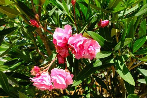 Bed & Breakfast Tord�res Jolie Chambre Sur Piscine