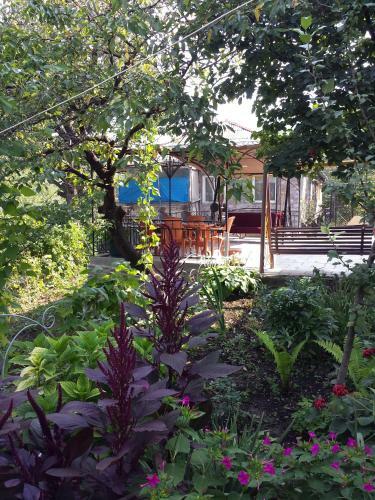 Hostal Bacho,s Cottage