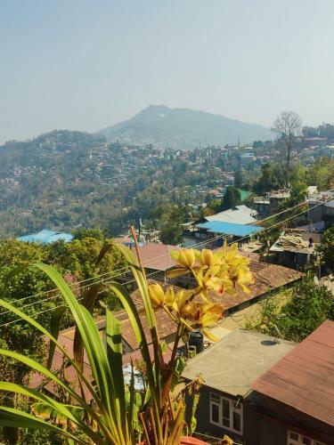 Dream Wood Homestay