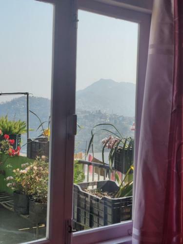 Dream Wood Homestay