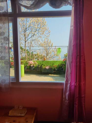 Dream Wood Homestay
