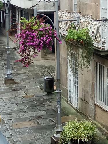 Apartment Garden
