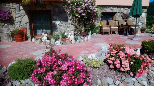 Bed & Breakfast Ow. Orla Perc