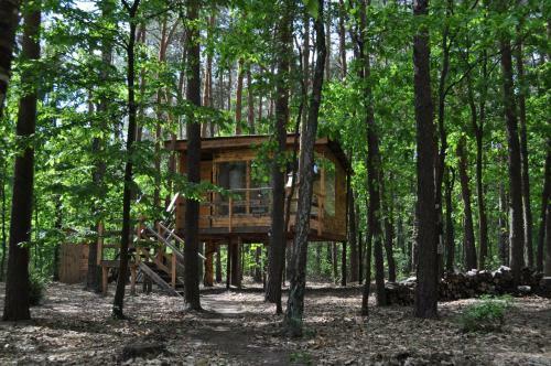 Lodge Domek Na Drzewie!