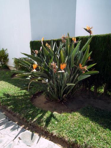 Apartamento Nerja Playa Burriana
