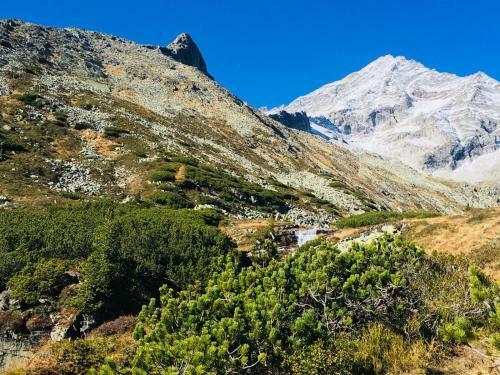 Apartamento Appartements Alpenblick
